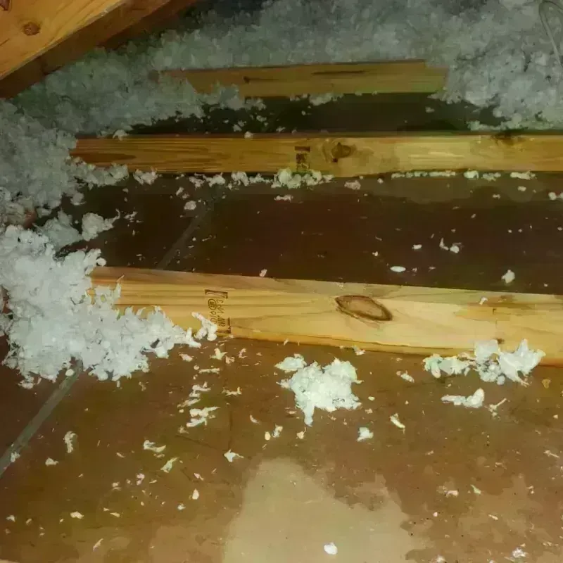 Attic Water Damage in Stevens County, KS