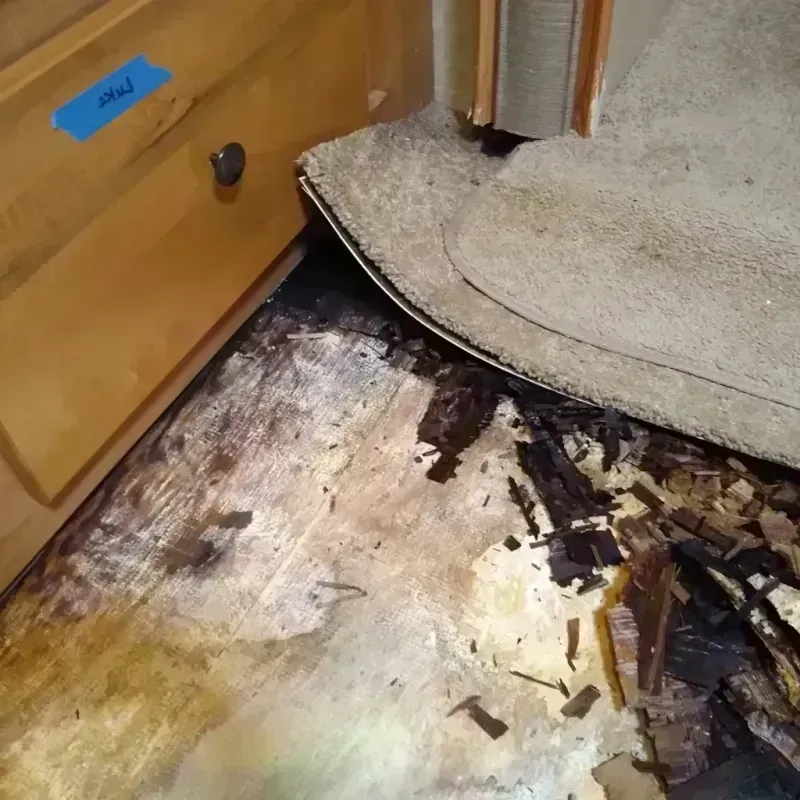 Wood Floor Water Damage in Stevens County, KS